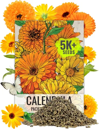 Seed Needs semillas de Caléndula Pacific Beauty Mix | más de 5,000 semillas Calendula Officinalis no modificadas genéticas anuales | grandes flores
