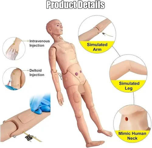 Miniatura 3 de Maniquí médico para entrenamiento, cuidado del paciente, maniquí médico de 5.57 pies, tamaño natural, maniquí de entrenamiento de enfermería