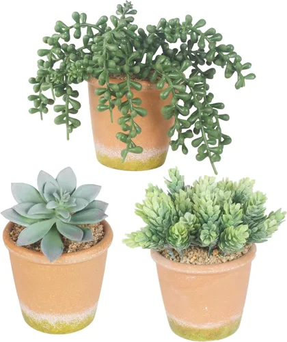 COTSEN 3 plantas suculentas artificiales en maceta, plantas suculentas falsas en maceta, plantas falsas en maceta, decoración de estantería de