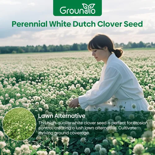 Miniatura 2 de Groundio White Clover Seeds for Lawn Alternative