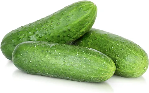 Miniatura 5 de TKE Farms & Gardens - Semillas de pepino, 8 rectas, 55 semillas de pepino sin OMG, ideales para rebanar, ensaladas y encurtidos crujientes, incluye