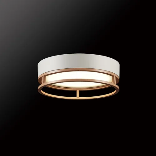Miniatura 8 de GLOBE Electric 66000038 18.5W Lámpara de techo empotrable LED integrada para interior y exterior, blanco mate, acento en tono madera, mejoras