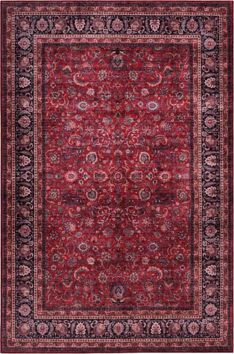 Miniatura 91 de GLN Rugs Traditional Collection - Alfombra de felpilla lavable a máquina, tradicional lavable, antideslizante, alfombra de felpilla de pelo corto