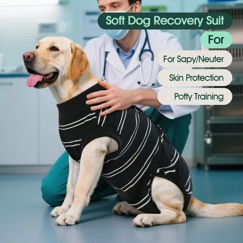 Miniatura 2 de Kuoser - Traje de recuperación para cirugía de perro, traje de recuperación suave y transpirable para perros, para esterilización femenina