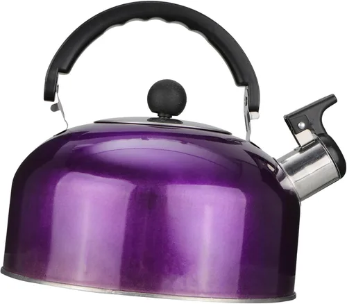Hervidor de café silbante, hervidor de té, estufa de acero inoxidable, tetera de agua, hervidor de agua, tetera con asa para el hogar, campamento al