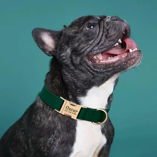 Miniatura 2 de PET ARTIST - Collares personalizados para perros, collar para perro personalizado con etiqueta de nombre silenciosa grabada, hebilla de liberación