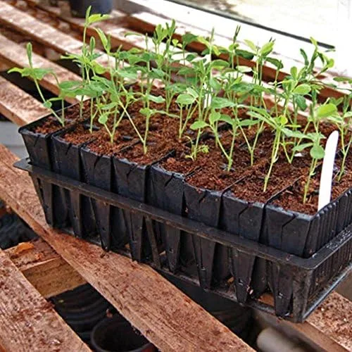 Miniatura 2 de Deep Rootrainers Kit - Kit de propagación de semillas y corte (32 celdas, 5 pulgadas de profundidad)
