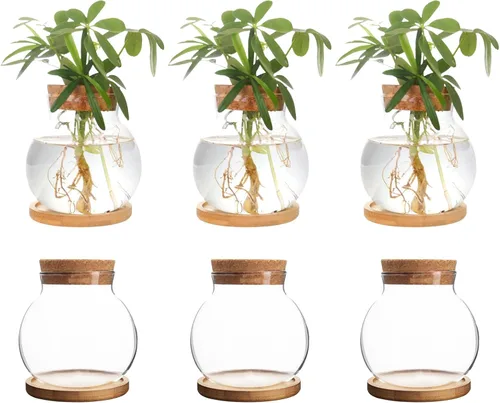 Miniatura 9 de Estación de Propagación de Plantas CHPINDAM, Jarrones de Contenedor de Vidrio Hidropónico, con Plato de Madera para Escritorios, Casas, Decoraciones