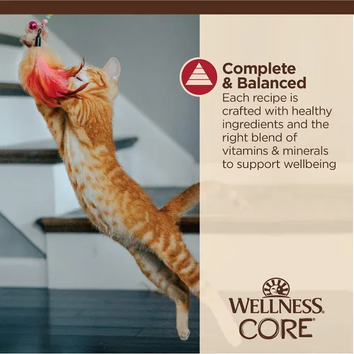 Miniatura 5 de Wellness CORE Tiny Tasters - Alimento húmedo picado para gatos adultos, natural, rico en proteínas, sin granos, receta de pollo y carne de res, 1.75