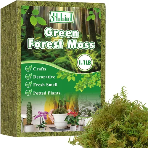 Miniatura 8 de Halatool 6OZ de musgo verde para plantas de interior, 8QT de musgo de orquídea para replantar, musgo de bosque para plantas en maceta, musgo real