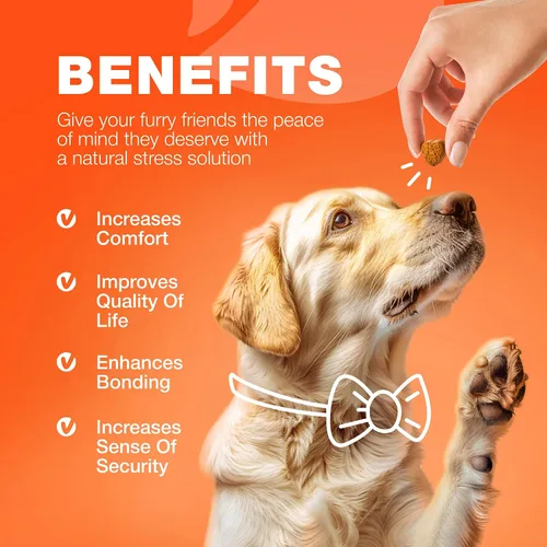 Miniatura 9 de Glucosamina para perros - Suplemento articular para perros - Glucosamina condroitina - 180 masticables para la movilidad para el cuidado