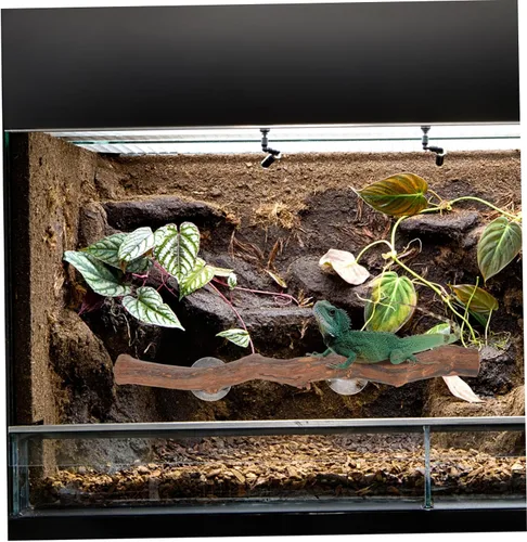 Miniatura 5 de Soporte de madera de uva dragón barbudo juguete succión árbol rama lagarto suministros decoración terrario