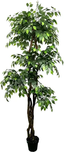 Miniatura 8 de Cypress & Alabaster Árbol artificial de ficus de 3 niveles hecho a mano de 6.5 pies con troncos de madera real de origen ético, hipoalergénico, 6.5