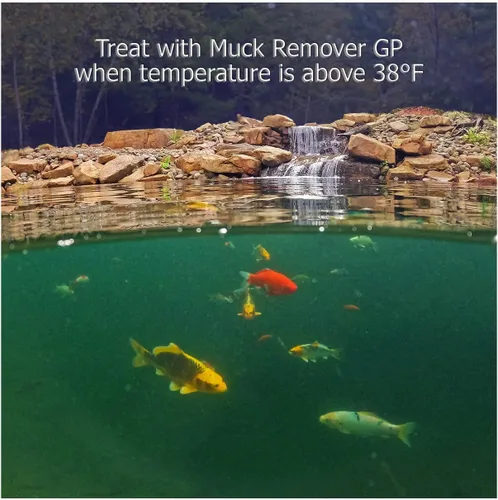 Miniatura 5 de Muck Remover GP - 150 pellets Removedor de lodos de estanque Koi Seguro para peces Trata 5,000 galones hasta 5 meses