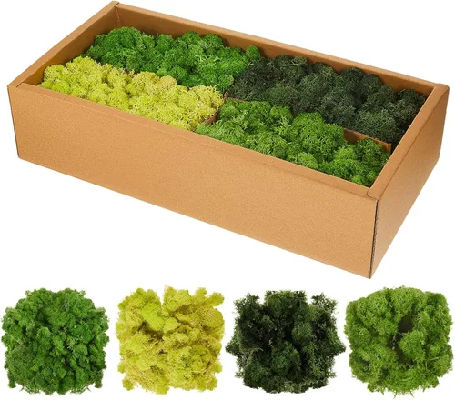 Musgo de reno, musgo preservado de 4 colores para plantas en maceta, decoración de musgo para manualidades, floristería, terrario, decoración