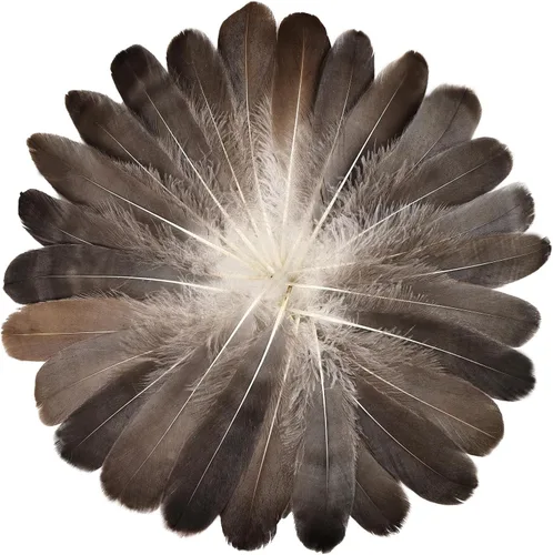 FeelfunFeather 120 piezas de plumas de ganso gris natural de 6-8 Pulgadas 15-20cm, plumas decorativas a granel para manualidades DIY, cosplay,
