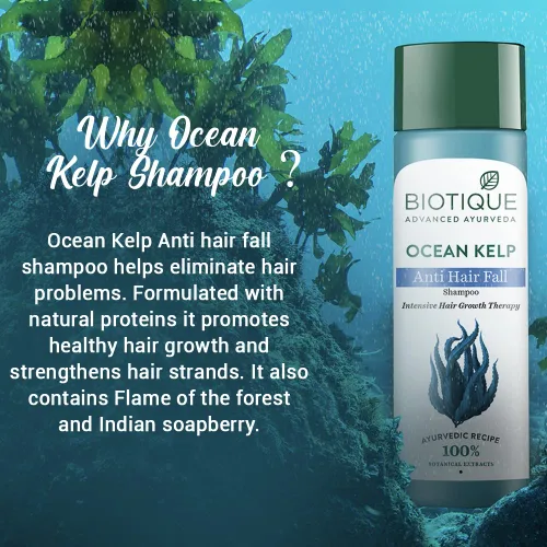 Miniatura 5 de Biotique Bio Kelp Protein Champú Para Cabello Caído, 6.4 fl oz