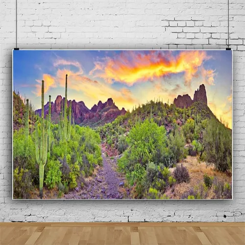 Miniatura 3 de AOFOTO Telón de fondo del desierto occidental de 6 x 3 pies, Parque Nacional Arizona, Roca, Montaña, Plantas Verdes Saguaro, Cactus Paisaje