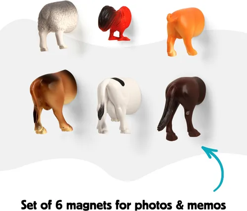 Miniatura 4 de Imanes con forma de cola de tiburón Kikkerland, set de 6 (MG64), Multicolor