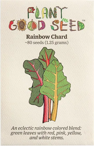 Plant Good Seed Semillas de acelgas orgánicas arcoíris para plantar: tallos rosados, rojos, amarillos y blancos, paquete de 80 semillas