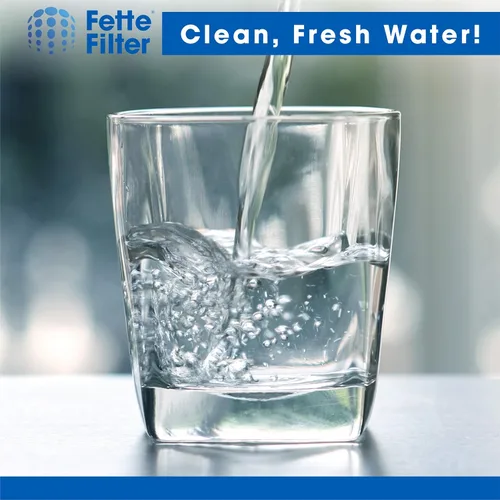 Miniatura 6 de Fette Filter - Filtros de agua para destiladores de encimera compatibles con Megahome y otros modelos de destiladores de agua de encimera - Paquete