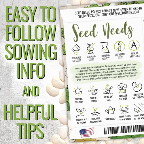 Miniatura 3 de Seed Needs Semillas de Frijol Lima para Plantar Frijoles Henderson Lima - Semillas de Vegetales Heirloom Sin OMG y Sin Tratar para Plantar un Jardín