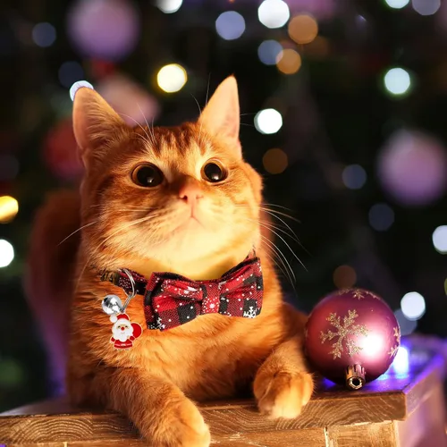 Miniatura 6 de LLHK Paquete de 4 collares de Navidad para gatos con pajarita y campana, collar de gatito para niñas y niños, ajustable de 7 a 12 pulgadas