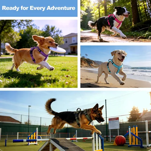 Miniatura 8 de Arnés Anti-Tirones para Perros con Asa, Malla Suave Acolchada Ajustable para Perros Pequeños, Medianos y Grandes Arnés Reflectante de Paseo Fácil