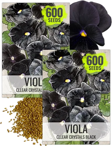 Miniatura 16 de Seed Needs Johnny Jump Up Semillas para plantar violas, reliquia y flores polinizadas abiertas para plantar un jardín de mariposas lleno de flores