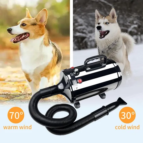 Miniatura 3 de Secador de pelo para perros Xapigo, secador de alta velocidad profesional para el aseo de perros, temperatura y velocidad ajustables con 4 boquillas