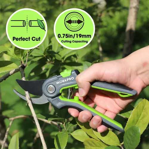 Miniatura 4 de WORKPRO Tijeras de podar de derivación, podadora manual de jardinería de acero inoxidable de 8 pulgadas, tijeras profesionales para recortar jardín