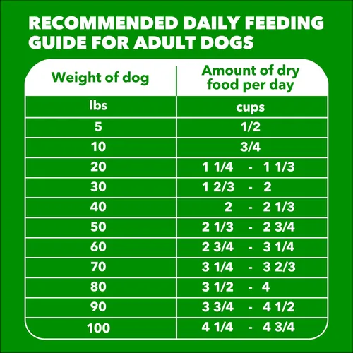 Miniatura 10 de IAMS Proactive Health Adult Minichunks Alimento Seco para Perros receta de Pollo y Granos Integrales, Bolsa de 30 lb