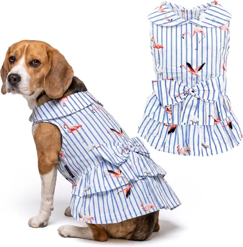 Miniatura 116 de Parisian Pet Chambray - Vestido para perro - Ligero sin mangas para perro, niña, talla XS Chambray en general