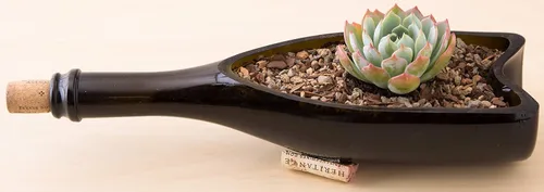 Miniatura 5 de Bonsai Jack Suelo suculento, cactus y bonsái - Mezcla arenosa de Jacks - 2 cuartos de galón - Drenaje rápido - Combate la pudrición de la raíz - pH