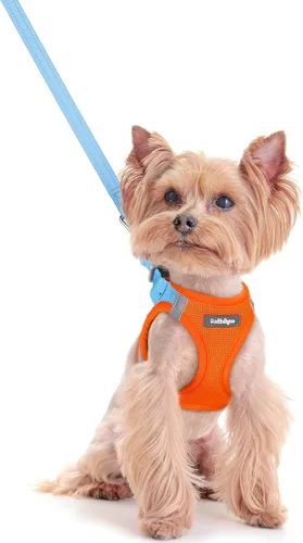 Miniatura 79 de rabbitgoo Juego de arnés para perro de tamaño pequeño y correa, chaleco ligero suave para cachorro, arnés de malla transpirable para mascotas