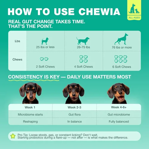 Miniatura 7 de Probióticos para la salud intestinal de los perros, digestión, inmunidad, equilibrio de levadura, piel con picazón, apoyo para alergias