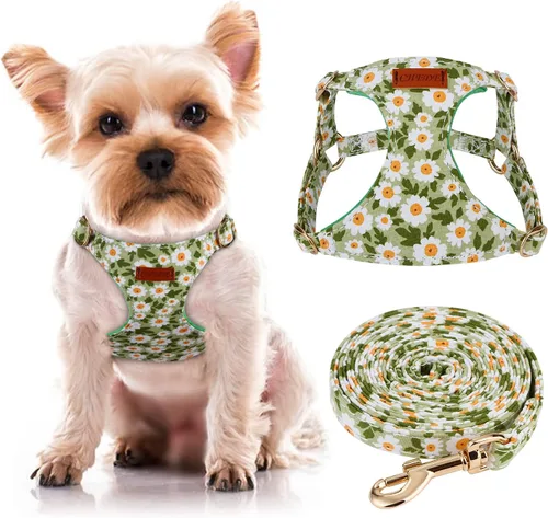 Miniatura 20 de CHEDE Arnés para Perro sin Tirones con Patrón Floral - Arnés para Perro Ligero y Suave, Arnés Ajustable para Perros Pequeños y Juego de Correa