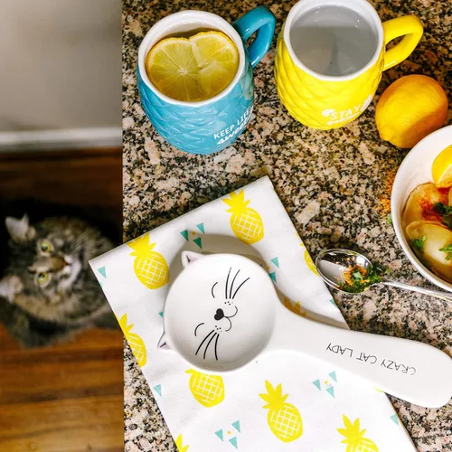 Miniatura 5 de Pavilion Gift Company - Crazy Cat Lady - Soporte para cucharas de 10