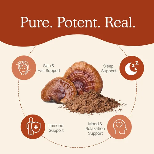 Miniatura 7 de Real Mushrooms Paquete de apoyo para el cerebro, la vitalidad y el sistema inmunológico: cápsulas de cognición de melena de león (120 cápsulas) +