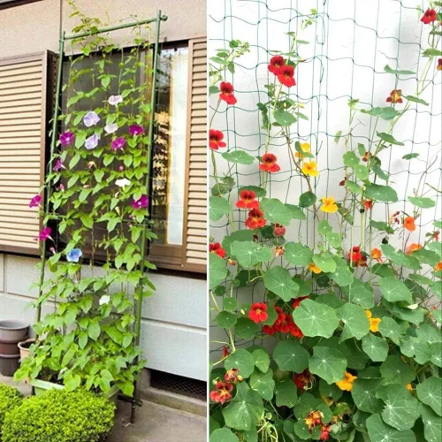 Miniatura 4 de Paquete de 2 redes de enrejado de pepino y tomate, red de jardín resistente para soporte de plantas trepadoras, guisantes, uvas, frijoles, frutas
