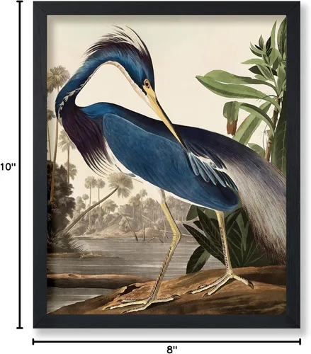 Miniatura 7 de Poster Master Póster vintage de James Audubon – Impresión de garza de Luisiana – Arte de aves de América – Arte de aves – Regalo para hombres