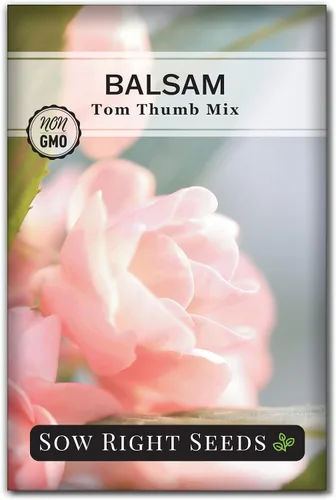 Sow Right Seeds - Semillas de flores de mezcla de pulgar de bálsamo para plantar - Interior o exterior - Paquete de reliquia sin OMG con