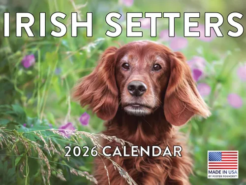 Miniatura 133 de Calendario de pared mensual 2025 Great Dane de 12 meses, fabricado en Estados Unidos