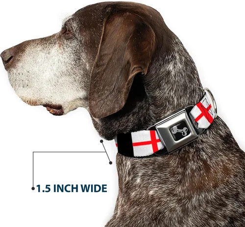 Miniatura 7 de Collar de perro hebilla de cinturón de seguridad banderas de Inglaterra 9 a 15 pulgadas 1.0 pulgadas de ancho