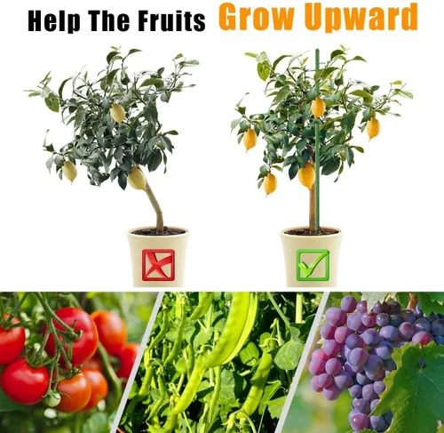 Miniatura 5 de LAVEVE Garden Stakes - Estaca para tomate de acero resistente de 48 pulgadas, soporte recubierto de plástico para asegurar árboles, plantas