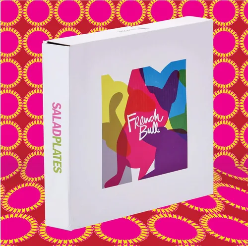 Miniatura 34 de French Bull Juego de 4 platos – Juego de 4 platos de ensalada de melamina de 9 pulgadas – Vajilla de melamina para interiores y exteriores – Foli