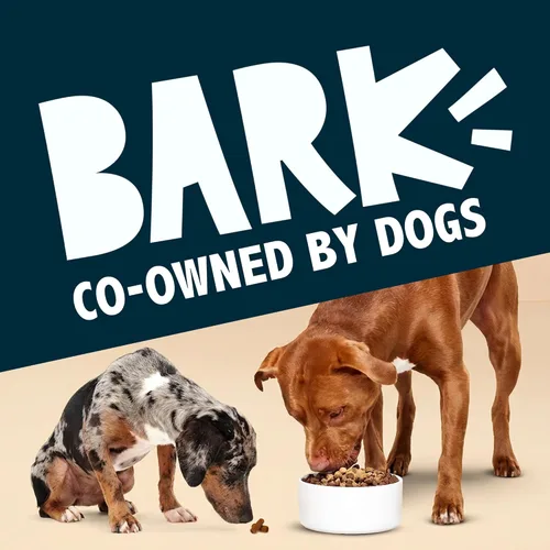 Miniatura 7 de Barkbox Bada Bing Alimento Seco para Perros de Res, Complementos con Alto Contenido de Proteínas e Ingredientes Limitados Potenciador de Comidas