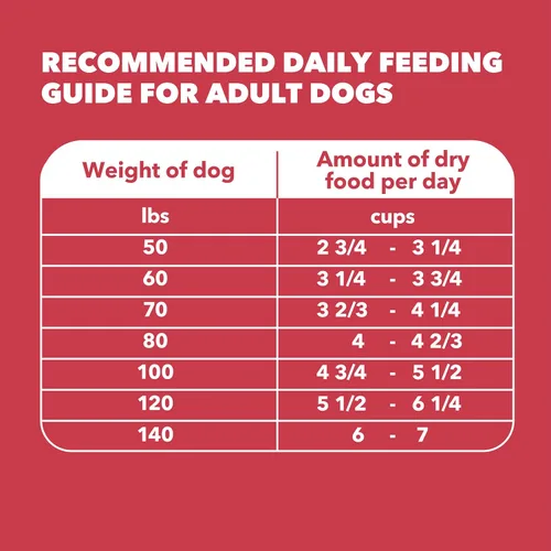 Miniatura 9 de IAMS Proactive Health - Alimento seco para perros adultos de raza grande, receta de cordero y arroz, bolsa de 40 libras