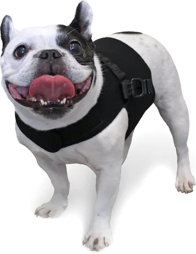 Miniatura 8 de Arnés delantero para perro Arnés sin tirones Diseñado para perros pequeños con pechos anchos Compatible con silla de ruedas para perros