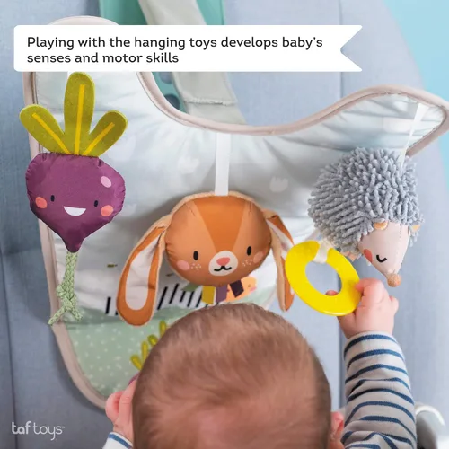 Miniatura 5 de Taf Toys Centro de Desarrollo para Asiento de Auto Infantil, Elementos Esenciales Imprescindibles para Bebés Recién Nacidos, Juguete, Accesorios